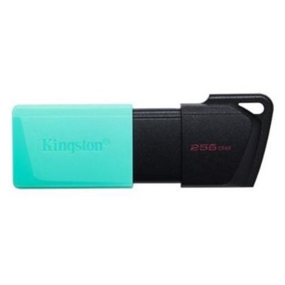 256 GB KINGSTON EXODIA M USB BELLEK 3.2 DT DTXM/256GB resmi